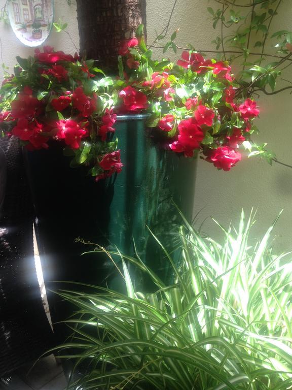 Bed & Breakfast Giardini Di Marzo Salerno